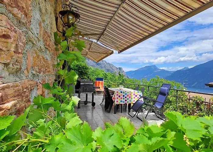 Paradise Green & View Lino