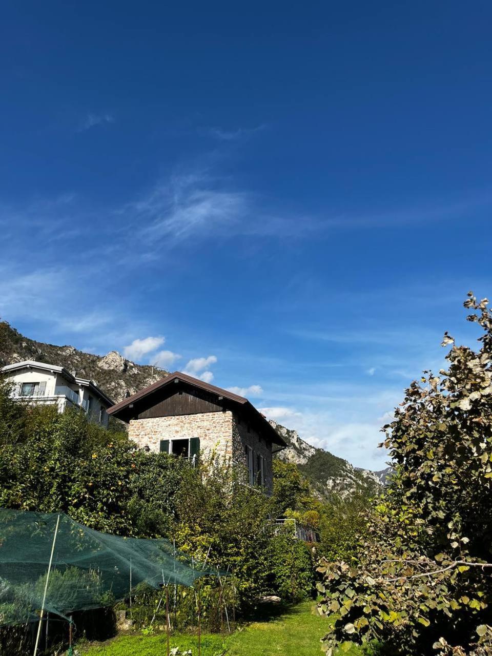 Paradise & View Lino *