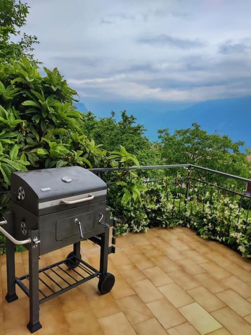 Paradise & View Lino *